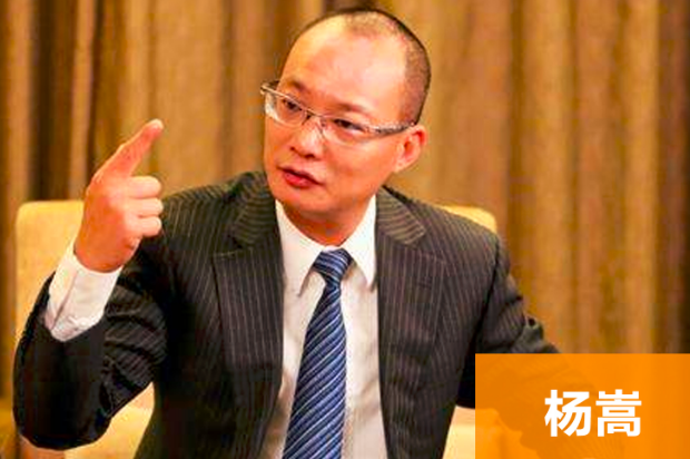 楊嵩出任運(yùn)營(yíng)官 銷售老將帶寶沃起死回生？