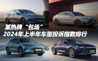 某熱牌“包場” 2024年上半年車型投訴指數(shù)排行