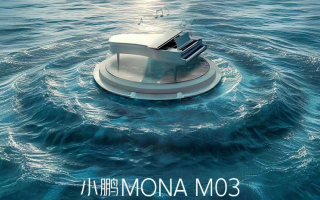 18個(gè)PSS揚(yáng)聲器 小鵬MONA M03音響配置