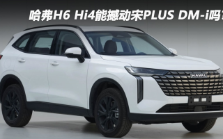 哈弗H6 Hi4能撼動(dòng)宋PLUS DM-i嗎？