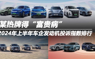 2024年上半年車企發(fā)動機投訴指數(shù)排行：某熱牌得“富貴病”