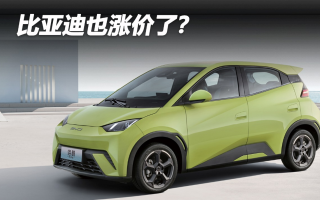比亞迪也漲價了？