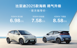 16個(gè)月累銷(xiāo)超50萬(wàn)輛！2025款海鷗正式上市