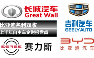 上半年自主車企財報盤點：比亞迪名利雙收