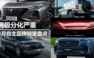 8月自主品牌銷量盤點 兩極分化嚴重