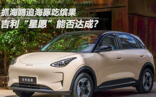 抓海鷗追海豚吃繽果，吉利“星愿”能否達成？