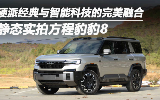 硬派經(jīng)典與智能科技的完美融合 靜態(tài)體驗(yàn)方程豹豹8