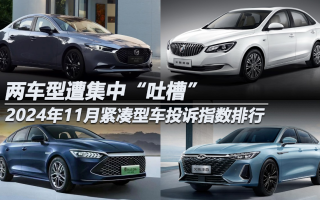 2024年11月緊湊型車投訴指數(shù)排行:兩車型遭集中“吐槽”