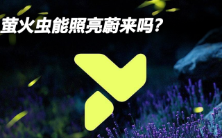 螢火蟲能照亮蔚來嗎？