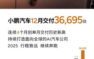 小鵬汽車2024年12月交付36,695臺 同比增長82%