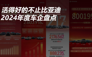 2024年度盤(pán)點(diǎn)：活得好的不止比亞迪