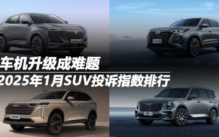 2025年1月SUV投訴指數(shù)排行：車機(jī)升級(jí)成難題