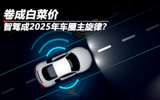 卷成白菜價(jià)，智駕成2025年車圈主旋律？