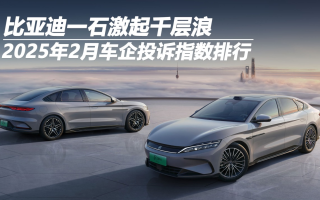 2025年2月車(chē)企投訴指數(shù)排行：比亞迪一石激起千層浪