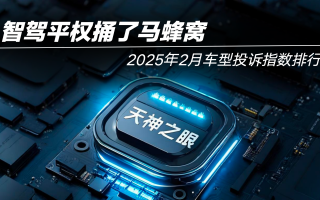 2025年2月車(chē)型投訴指數(shù)排行：智駕平權(quán)捅了馬蜂窩