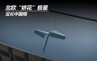 北歐“嬌花”極星 沒長中國根