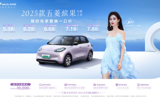 限時(shí)先享置換一口價(jià)5.38萬元起，2025款五菱繽果繽紛上市！