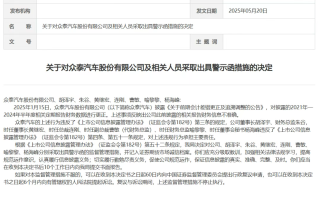 眾泰汽車(chē)及董事長(zhǎng)等人被警示