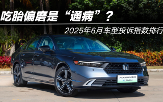 2025年6月車(chē)型投訴指數(shù)排行:吃胎偏磨是“通病”?