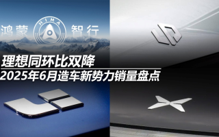 2025年6月造車(chē)新勢(shì)力銷(xiāo)量盤(pán)點(diǎn):理想同環(huán)比雙降