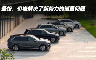 最終，價格解決了新勢力的銷量問題