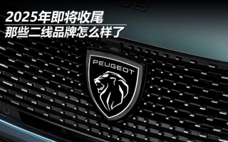 2025年即將收尾，那些二線品牌怎么樣了